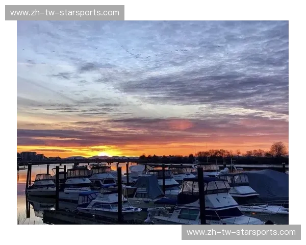 太平洋两岸的灵魂博弈:当温哥华的松针遇上旧金山的迷雾